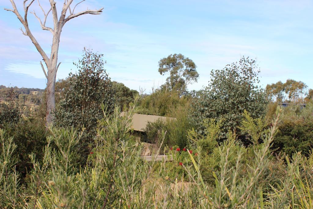 דירות Sarsfield Down To Earth Farm Retreat מראה חיצוני תמונה