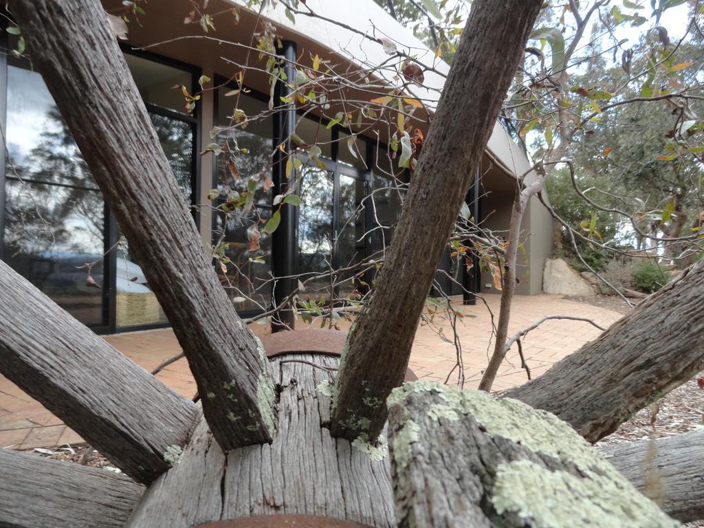 דירות Sarsfield Down To Earth Farm Retreat מראה חיצוני תמונה